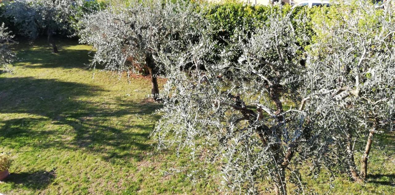 Bed and Breakfast Il Melograno Garda  Esterno foto